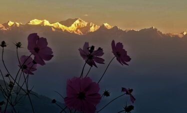 whatsapp image 2026 03 19 at 00.39.14